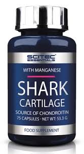 Scitec Nutrition Scitec Shark Cartilage 75 kapslí